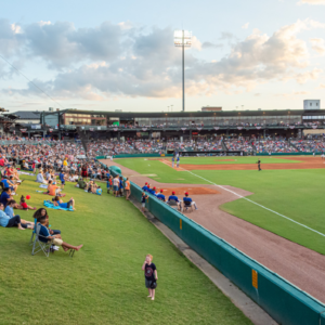 Minor League Baseball Teams Announce Military Specials for 2021 - Biscuits